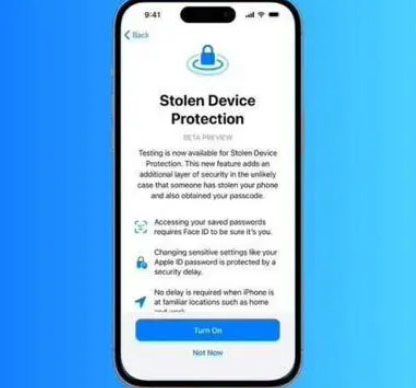大岭山镇苹果授权维修店分享被盗设备保护功能开启方法 