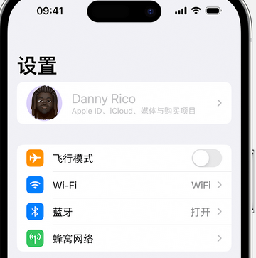 大岭山镇appleID维修服务iPhone设置中Apple ID显示为灰色无法使用