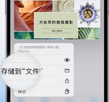 大岭山镇apple维修中心分享iPhone文件应用中存储和找到下载文件