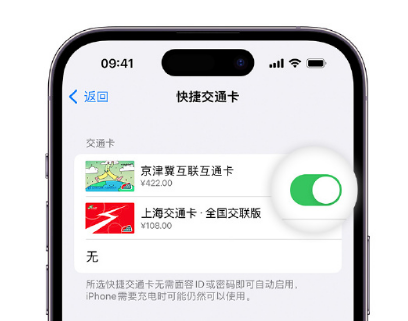 大岭山镇apple维修点分享iPhone上更换Apple Pay快捷交通卡手绘卡面 