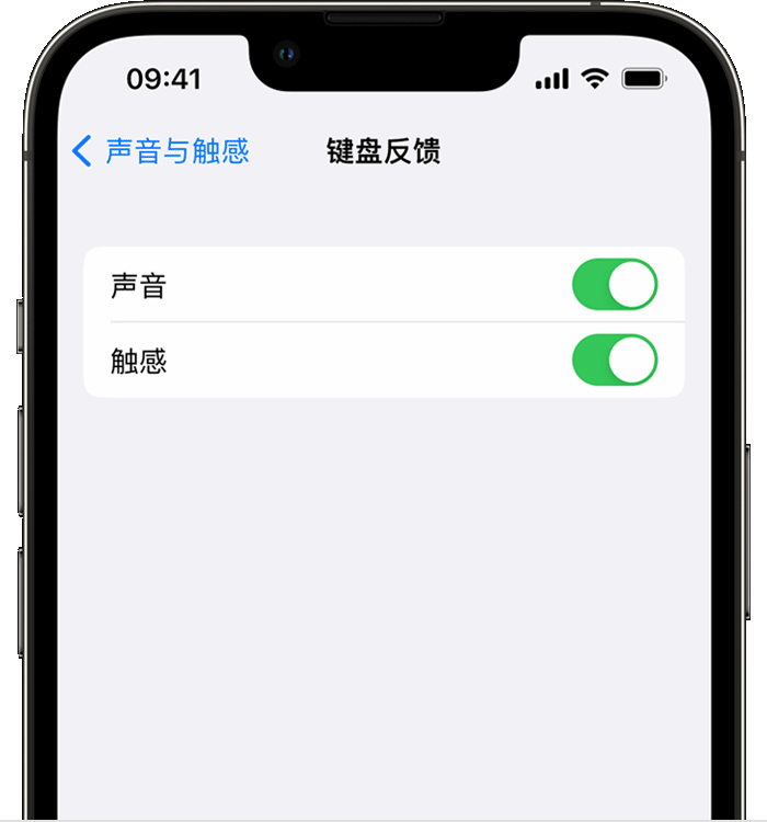 大岭山镇苹果14维修店分享如何在 iPhone 14 机型中使用触感键盘 