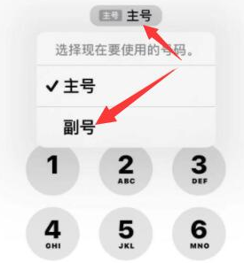 大岭山镇苹果14维修店分享iPhone 14 Pro Max使用副卡打电话的方法 