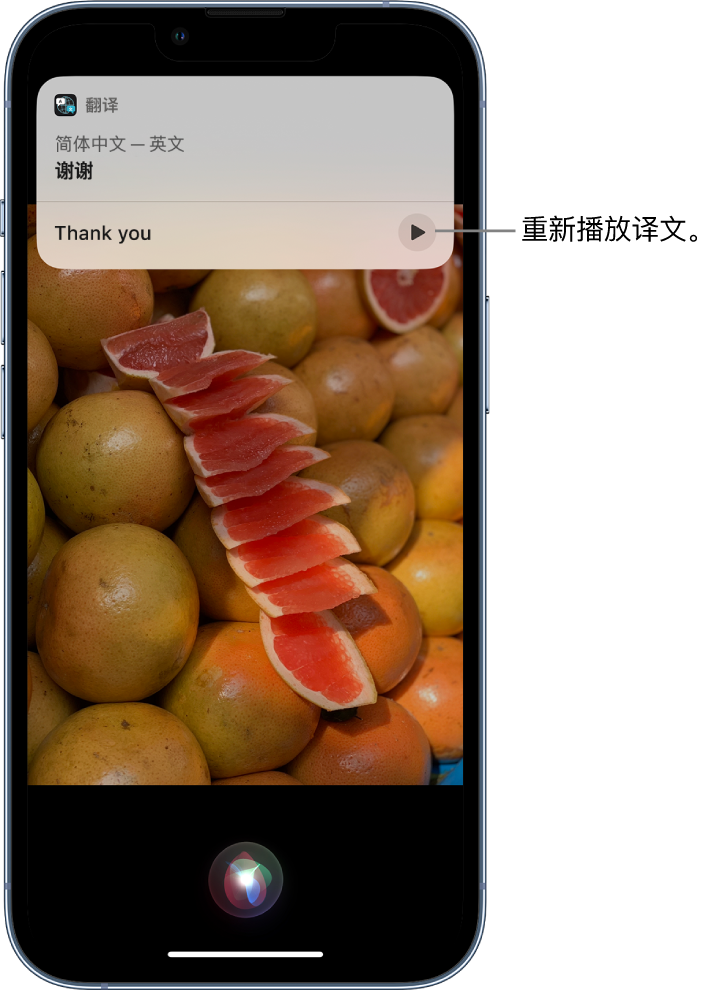 大岭山镇苹果14维修分享 iPhone 14 机型中使用 Siri：了解 Siri 能帮你做什么 