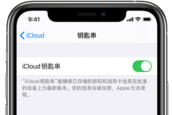 大岭山镇苹果手机维修分享在 iPhone 上开启 iCloud 钥匙串之后会储存哪些信息 