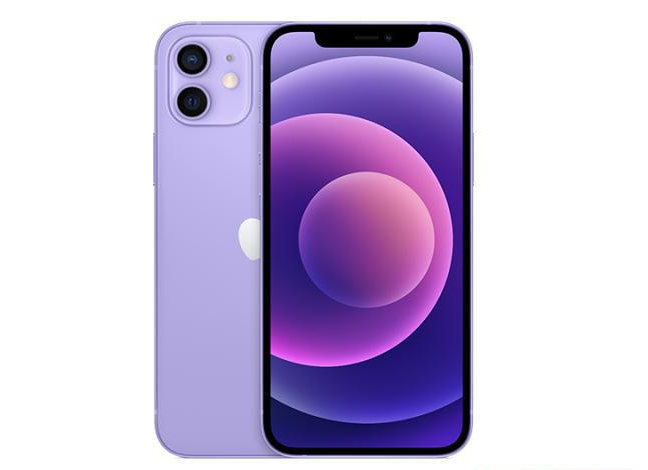 大岭山镇苹果手机维修分享现阶段要不要入手紫色版iPhone12 