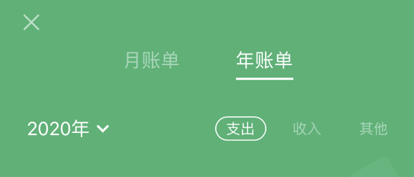 大岭山镇苹果手机维修分享如何在 iPhone 上查看支付宝和微信年支出账单 